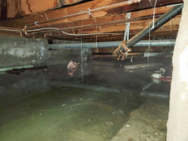 Best Water damage repair service  in Madeira, OH