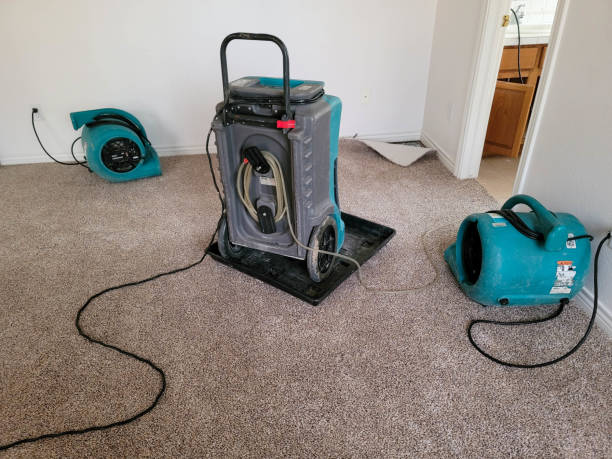Best Ceiling water damage repair  in Madeira, OH