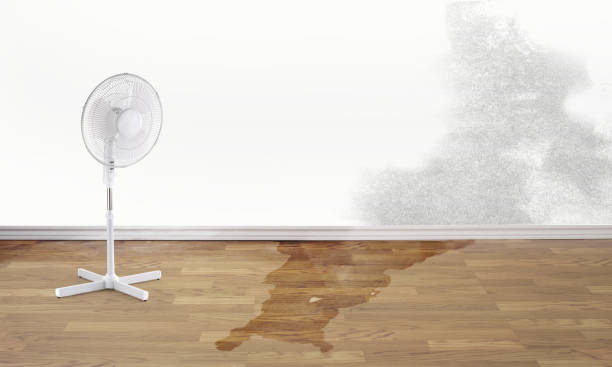 Best 24-hour water damage restoration  in Madeira, OH