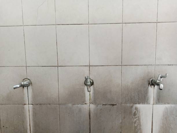 Best Mold removal after water damage  in Madeira, OH
