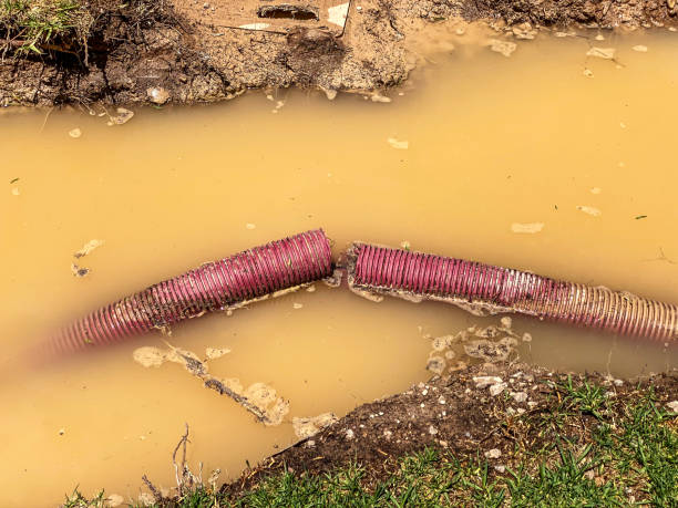 Water damage restoration experts in Madeira, OH