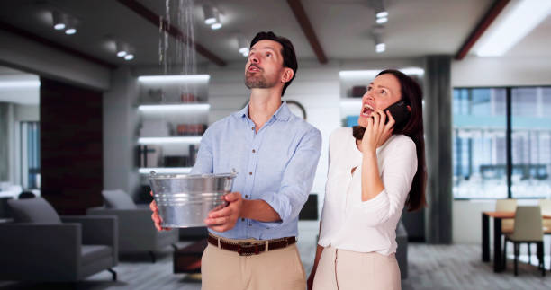 Best Fire Damage Restoration  in Madeira, OH